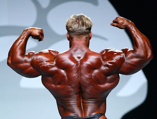 Jay Cutler back muscles